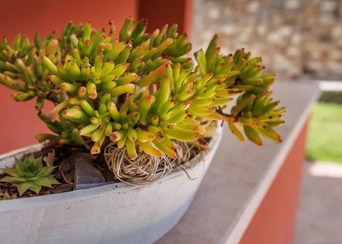 Gospodarstwo agroturystyczne San Maggiore *